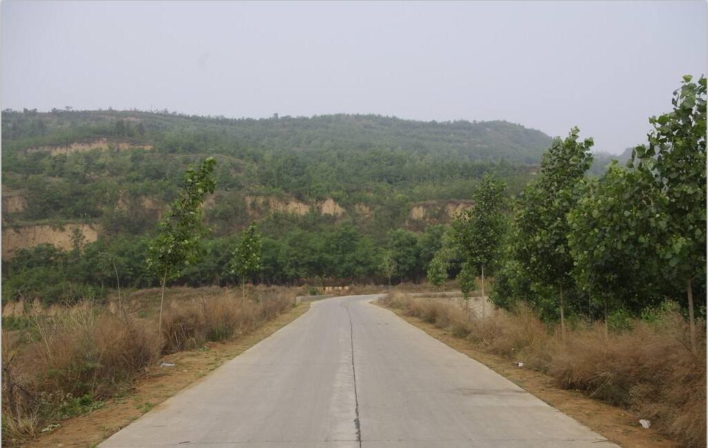 龙州县富边兴民道路.jpg